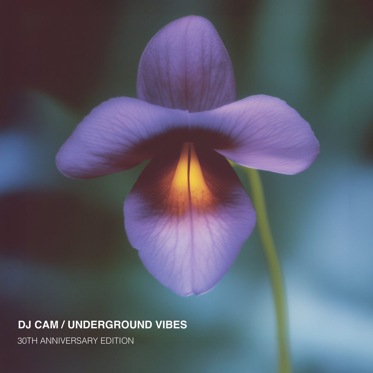 DJ Cam - Underground vibes (30th anniversary edition, 180g)