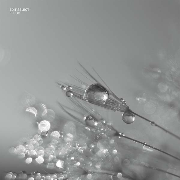 Edit Select - Phlox
