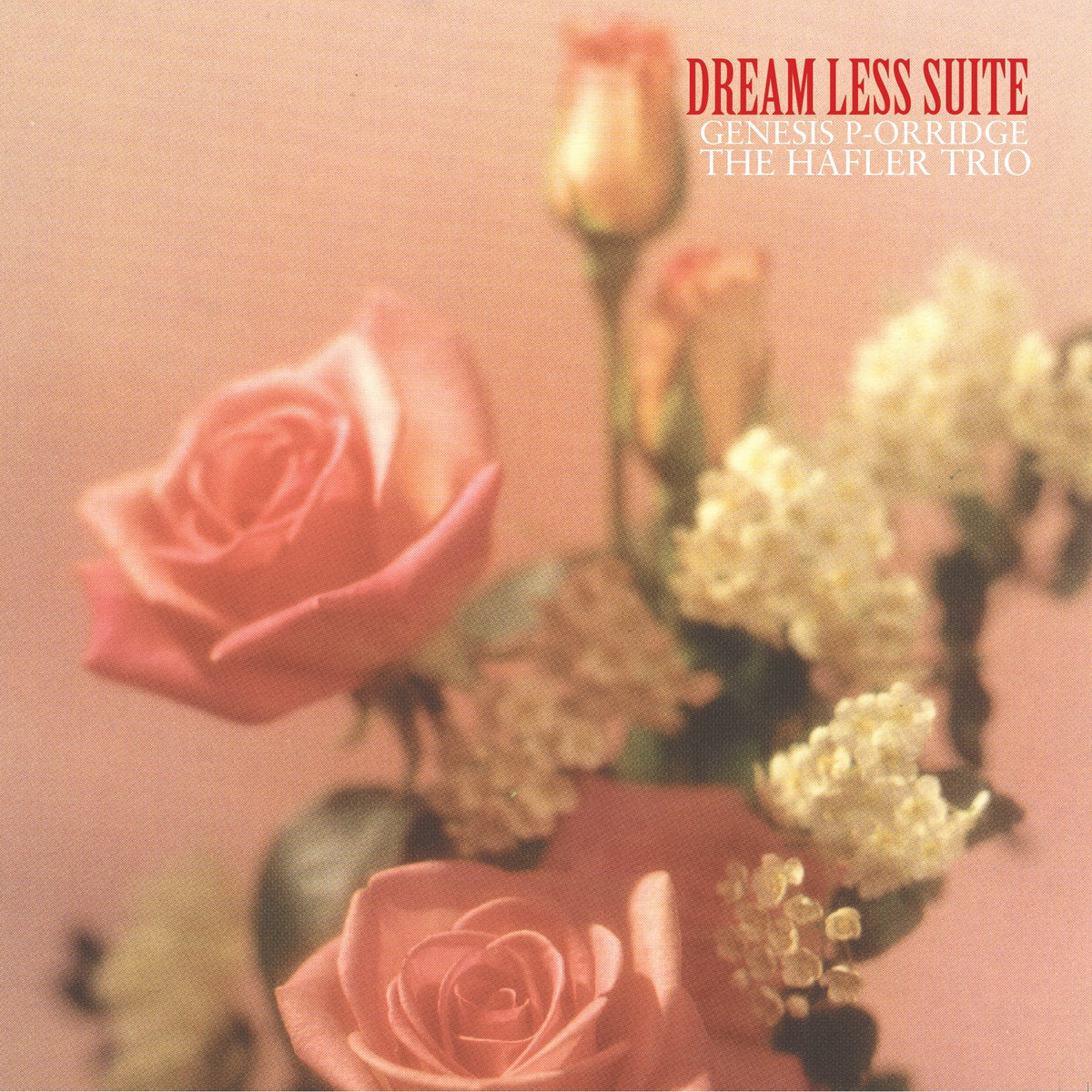 Genesis P-orridge & The Hafler Trio - Dream Less Suite