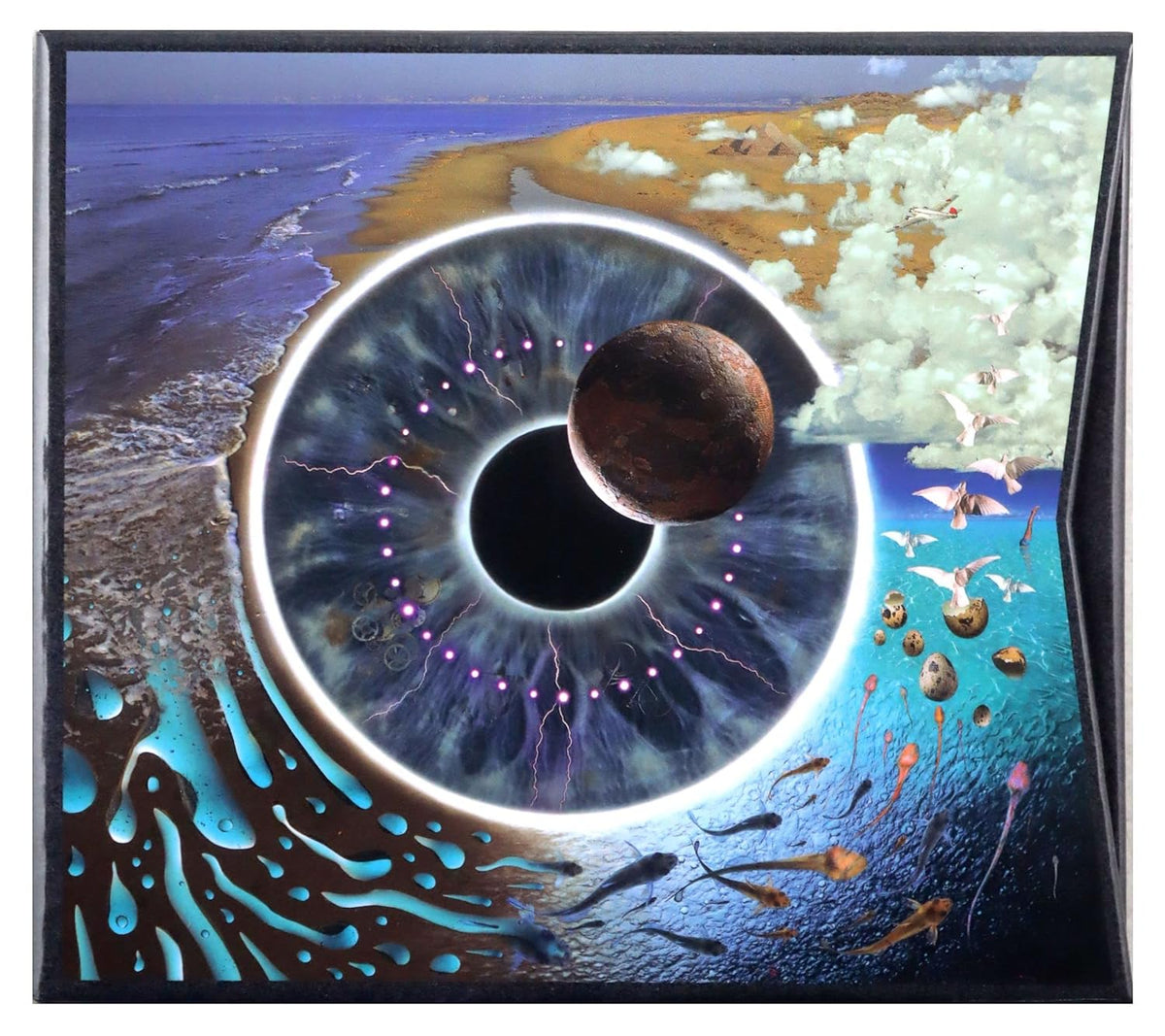 Pink Floyd - Pulse
