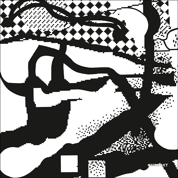 Thomas Fehlmann - Los Lagos