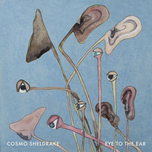 Eye To The Ear - Cosmo Sheldrake