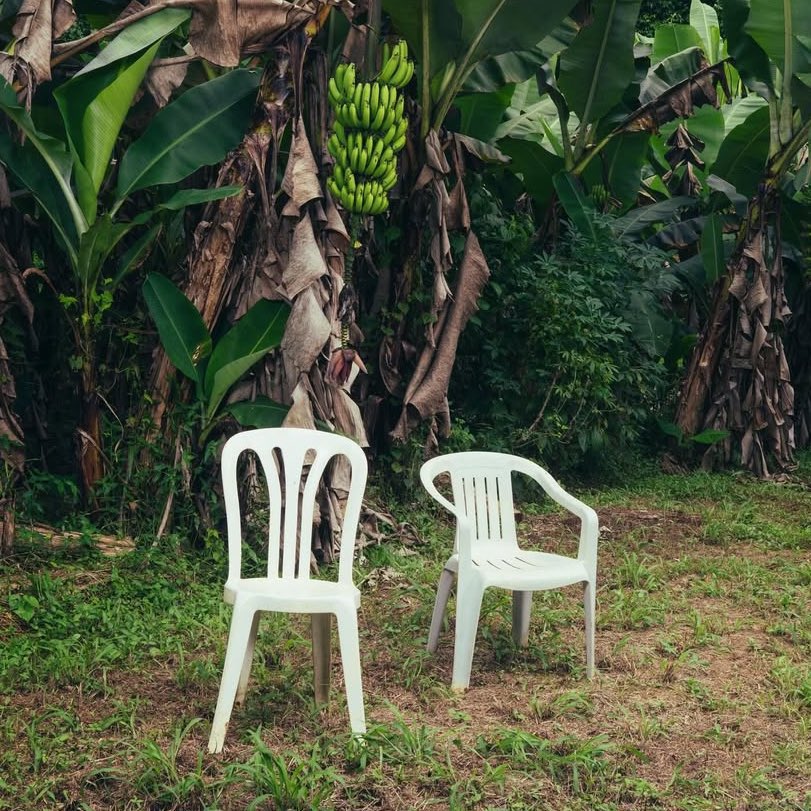 Bad Bunny - DtMF - Bad Bunny - DtMF (2LP, blue colored vinyl)