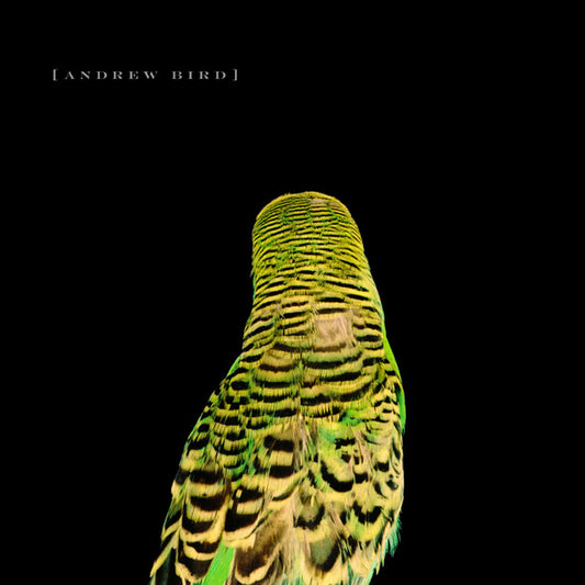 Andrew Bird - Armchair Apocrypha