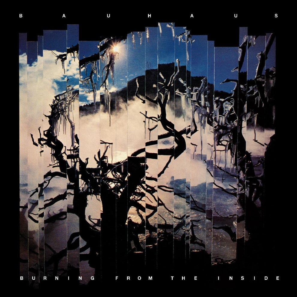 Bauhaus - Burning From The Inside | Vinyl – Las Dunas Records