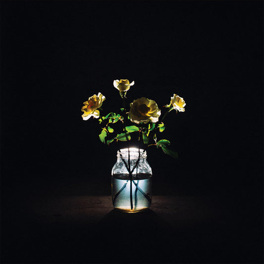 Billy Strings - Renewal (2lp / 180g)