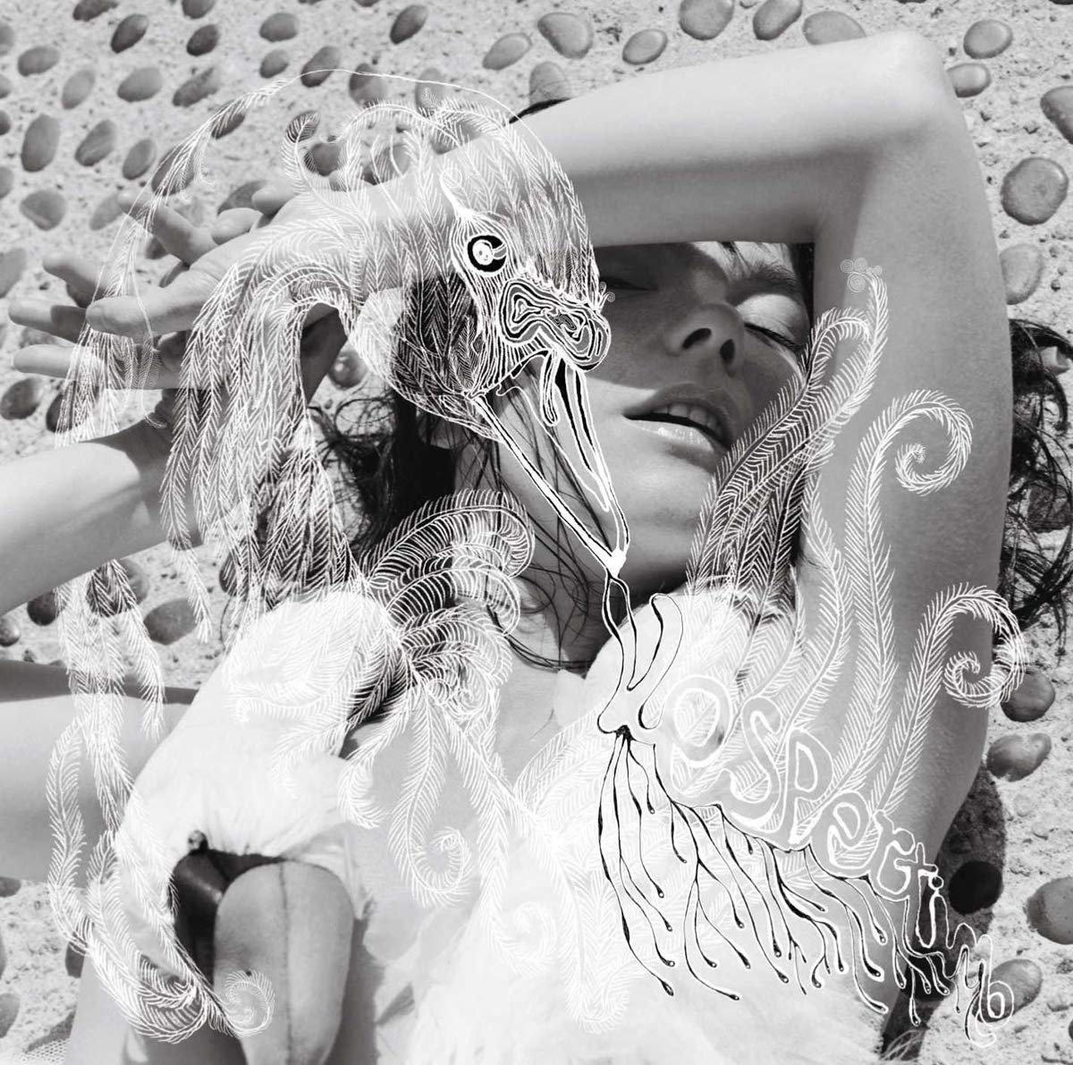 Bjork - Vespertine