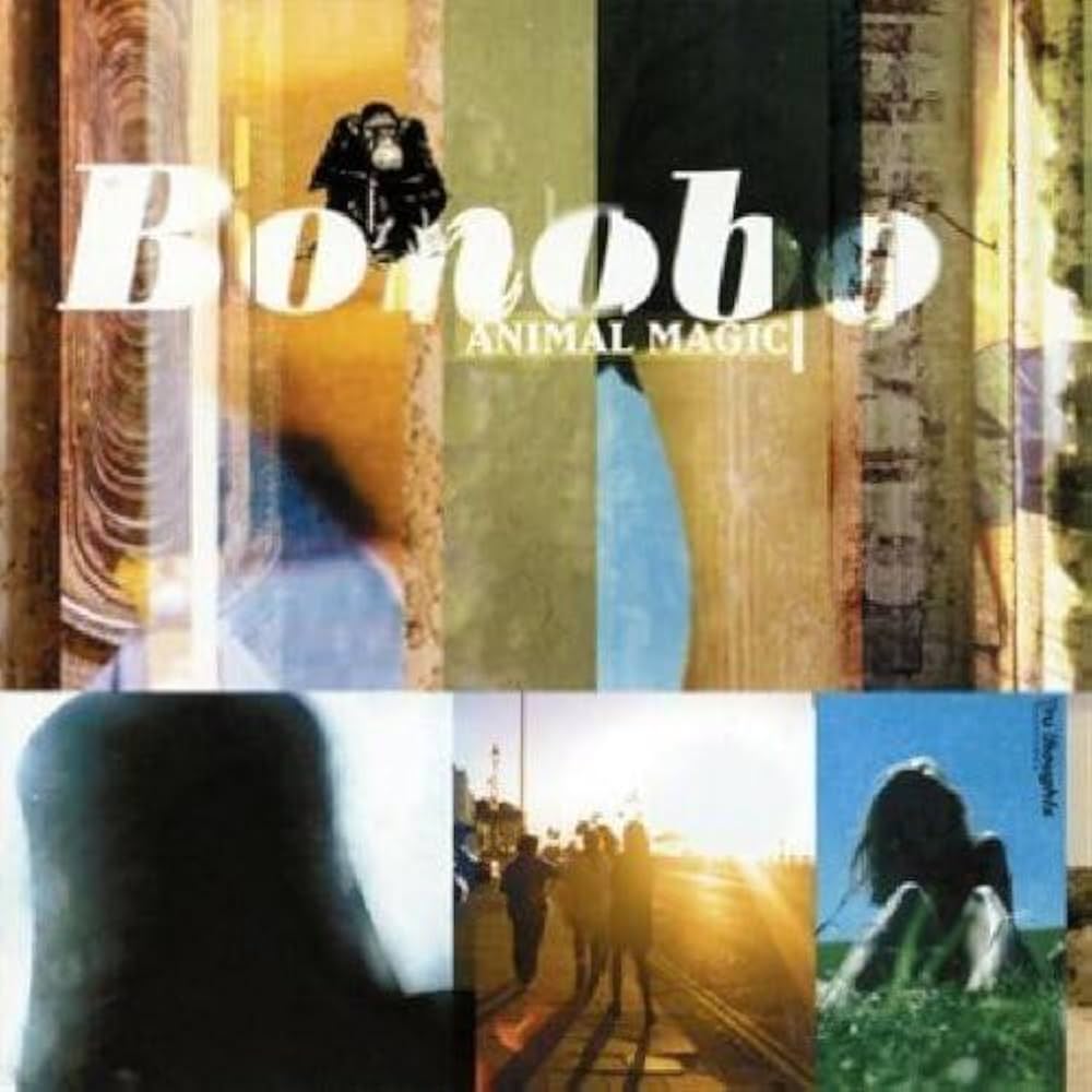 Bonobo - Animal Magic