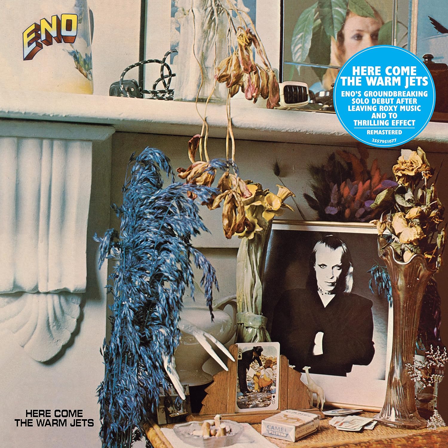 Brian Eno - Here Come The Warm Jets