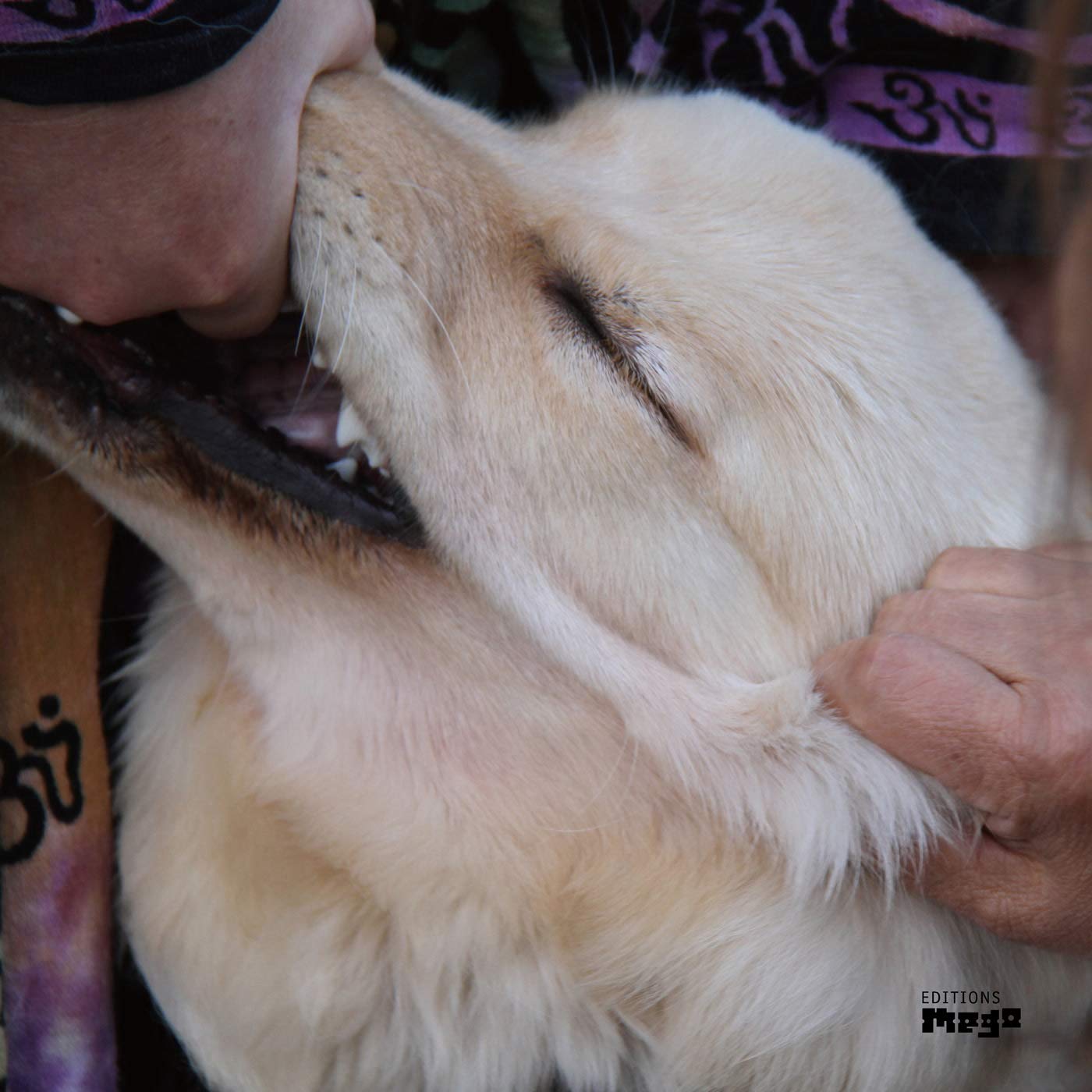 Christian Fennesz & Jim O'Rourke - It'S Hard For Me To Say Im Sorry