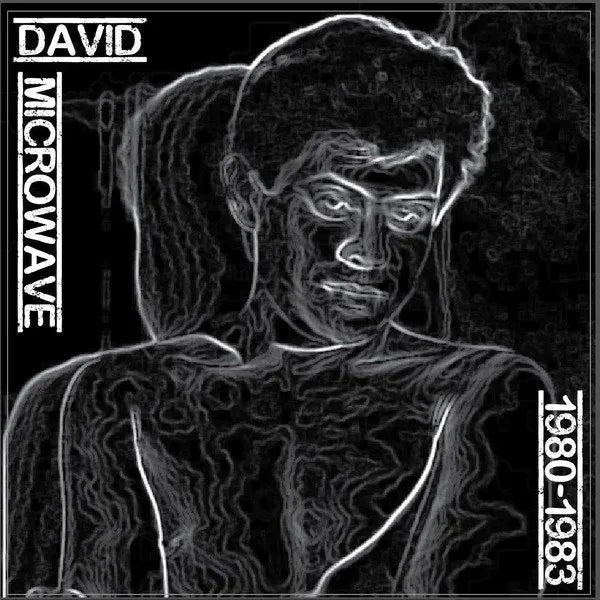 David Microwave - 1980-1983