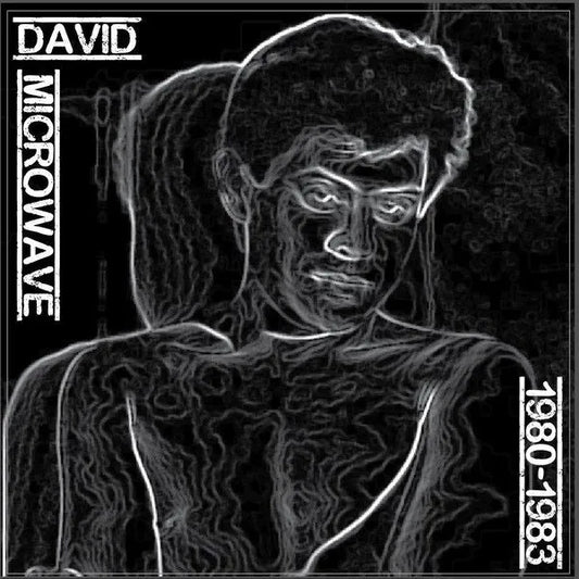 David Microwave - 1980-1983