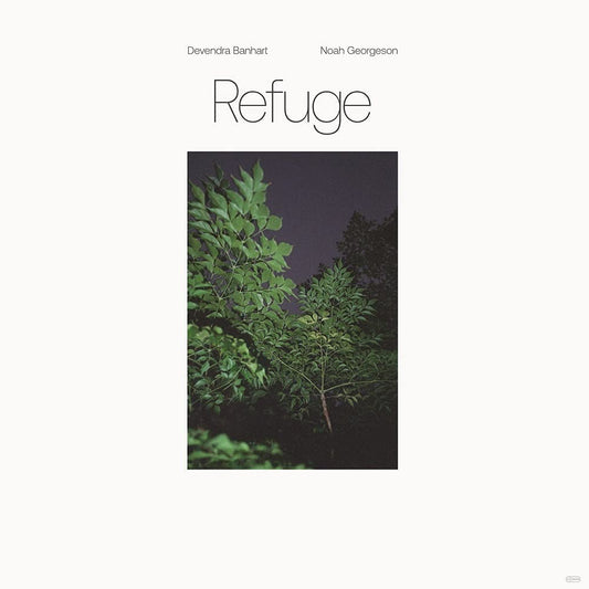 Devendra Banhart/noah Georgeson - Refuge