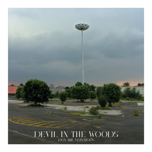 Devil In The Woods Compilación 2022 - Varios Artistas 2022