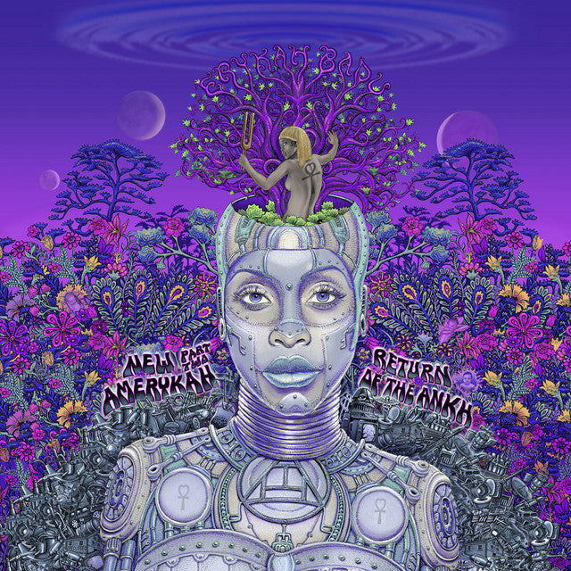 Erykah Badu - New Amerykah Part Two