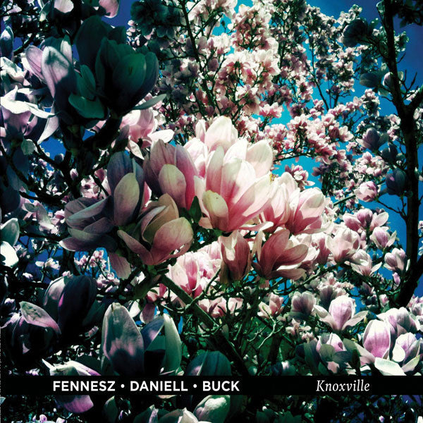 Fennesz / Daniell / Buck - Knoxville LP