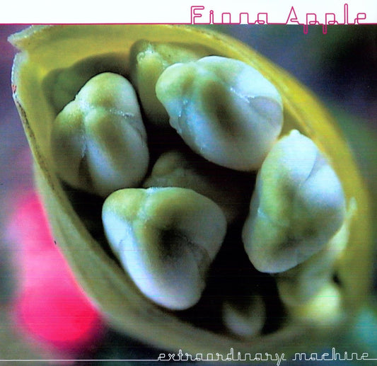 Fiona Apple - Extraordinary Machine