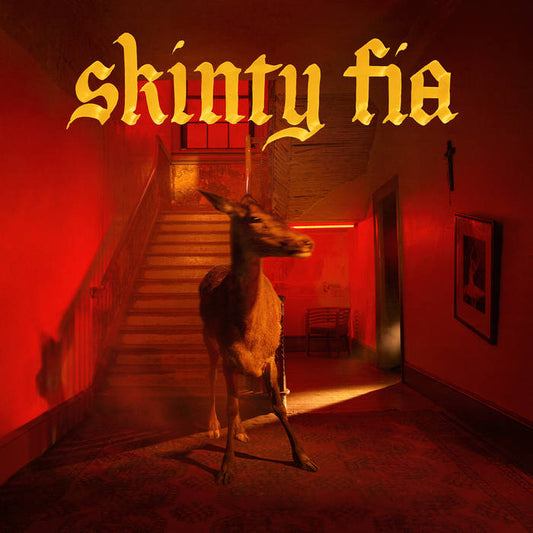 Fontaines D.c. - Skinty Fia