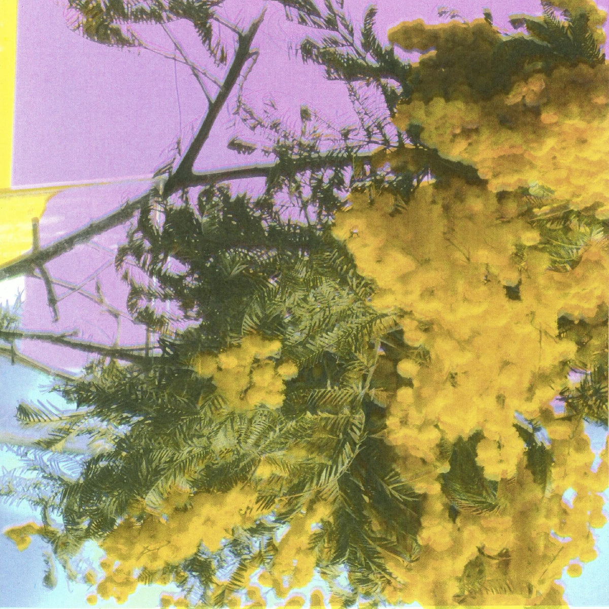 Four Tet - Into Dust (Still Falling) (Indie Exclusive)