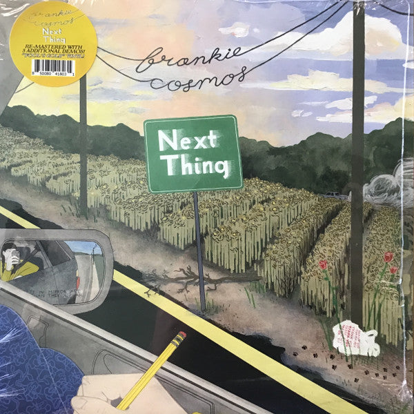 Frankie Cosmos - Next Thing (10 Year Anniversary)