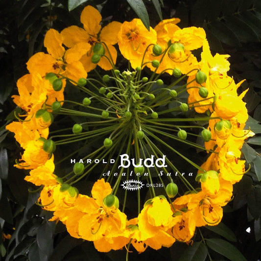 Harold Budd - Avalon Sutra (3lp / Bonus Track / Limited)