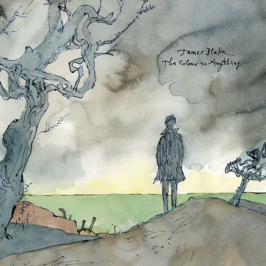 James Blake - Color In Anything