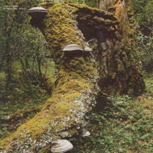 Jan Jelinek - Kosmischer Pitch