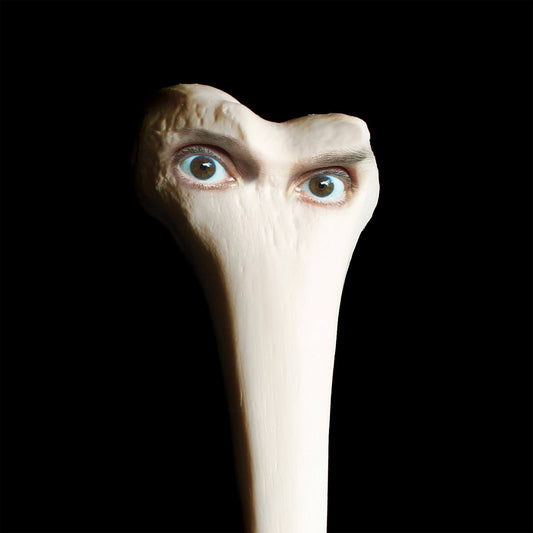 Juana Molina - Halo (dl Card)