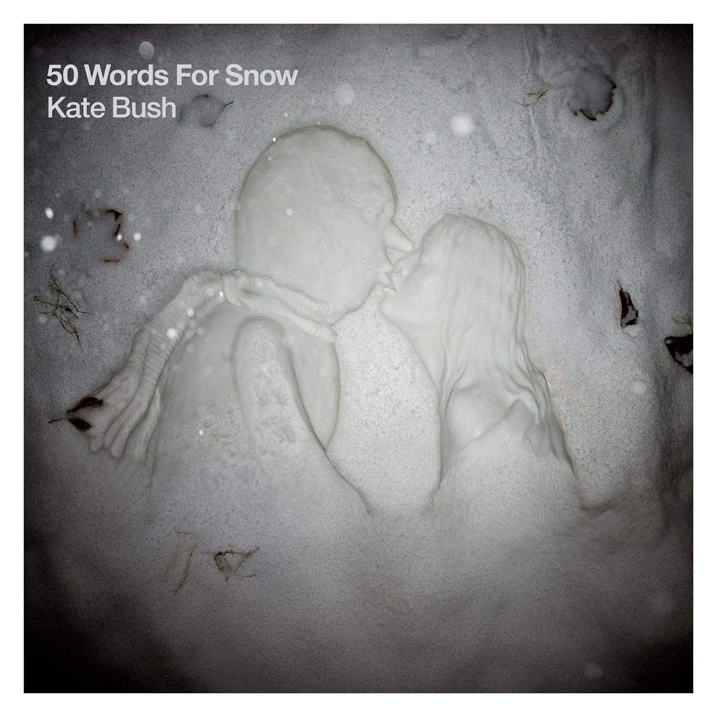 Kate Bush - 50 Words For Snow