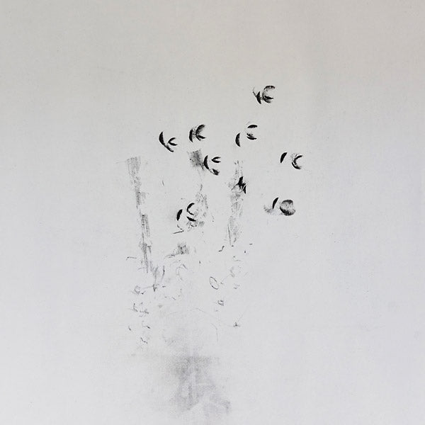 Ken Ikeda + David Toop - Skin Tones