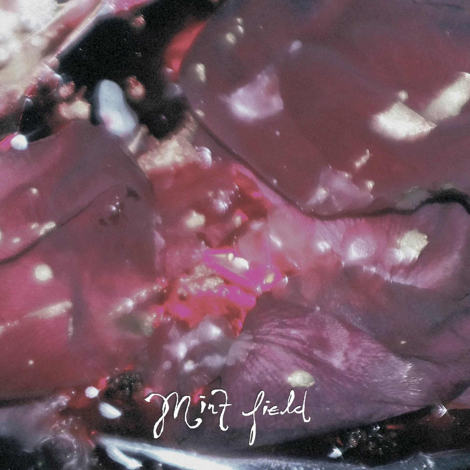 Mint Field - Aprender A Ser (Extended version, milky clear vinyl)