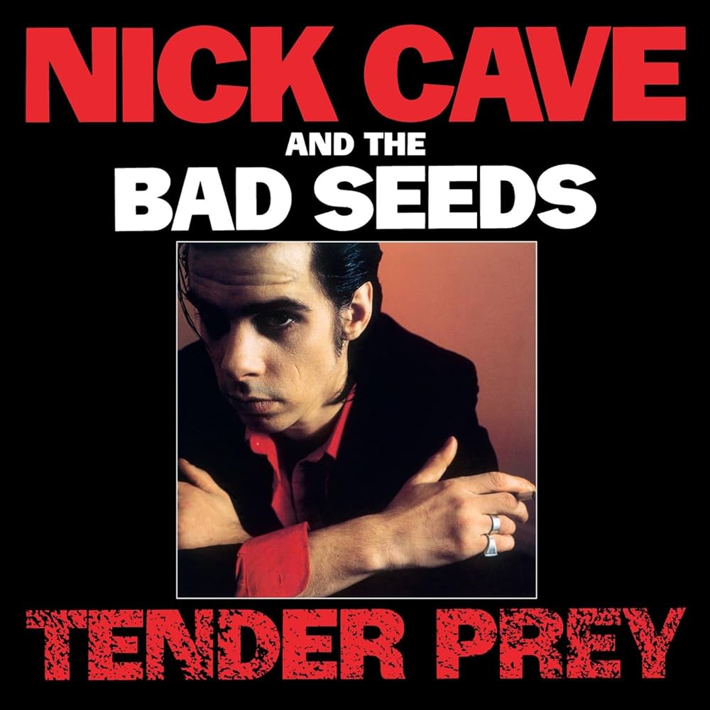 Nick Cave & The Bad Seeds - Tender Prey