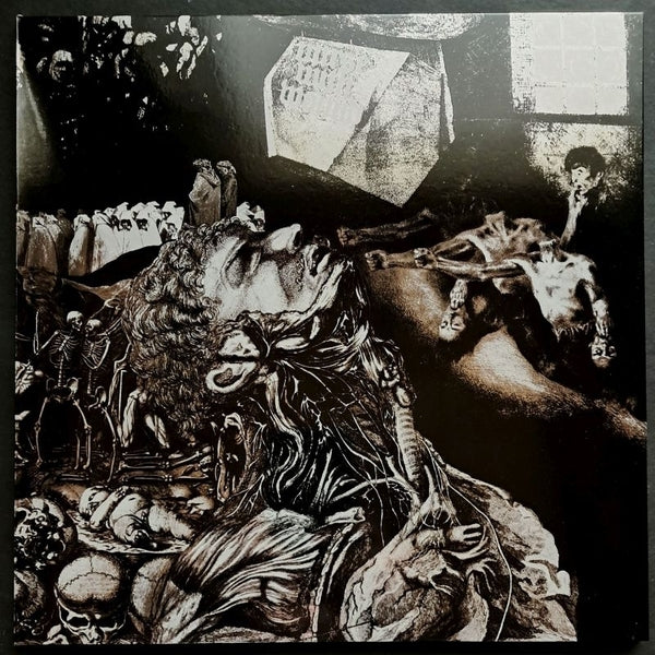 Nurse With Wound - Merzbild Schwet