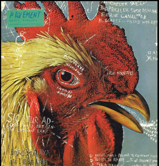 Pavement - Watery Domestic