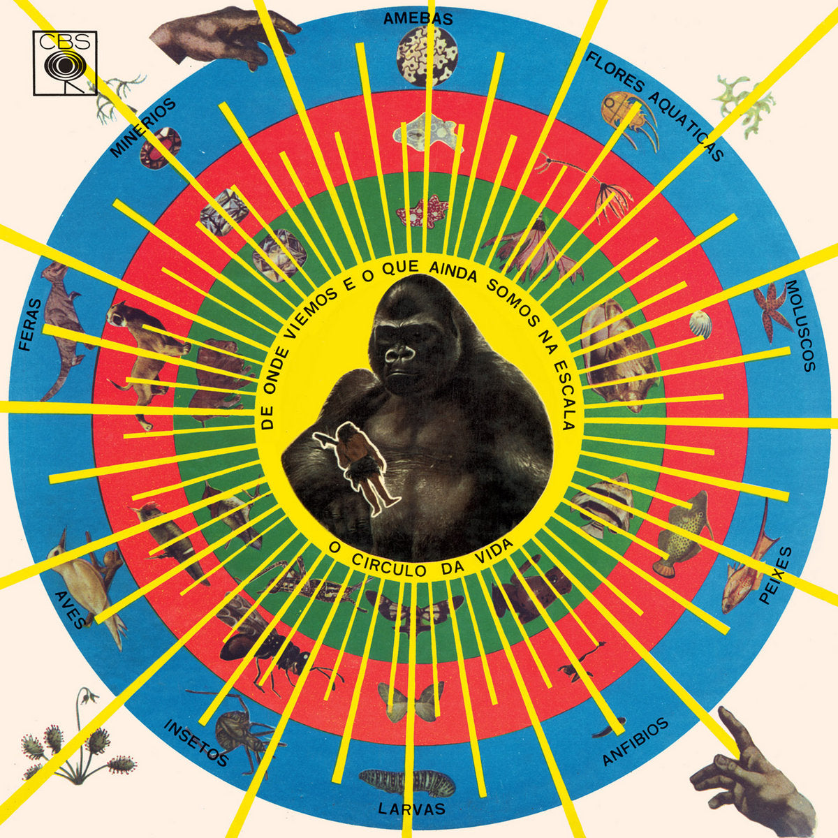 Pedro Santos - Krishnanda