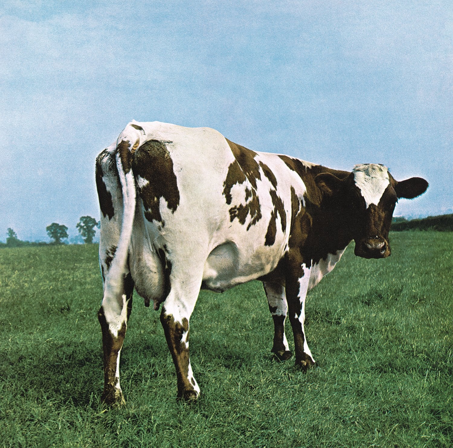 Pink Floyd - Atom Heart Mother