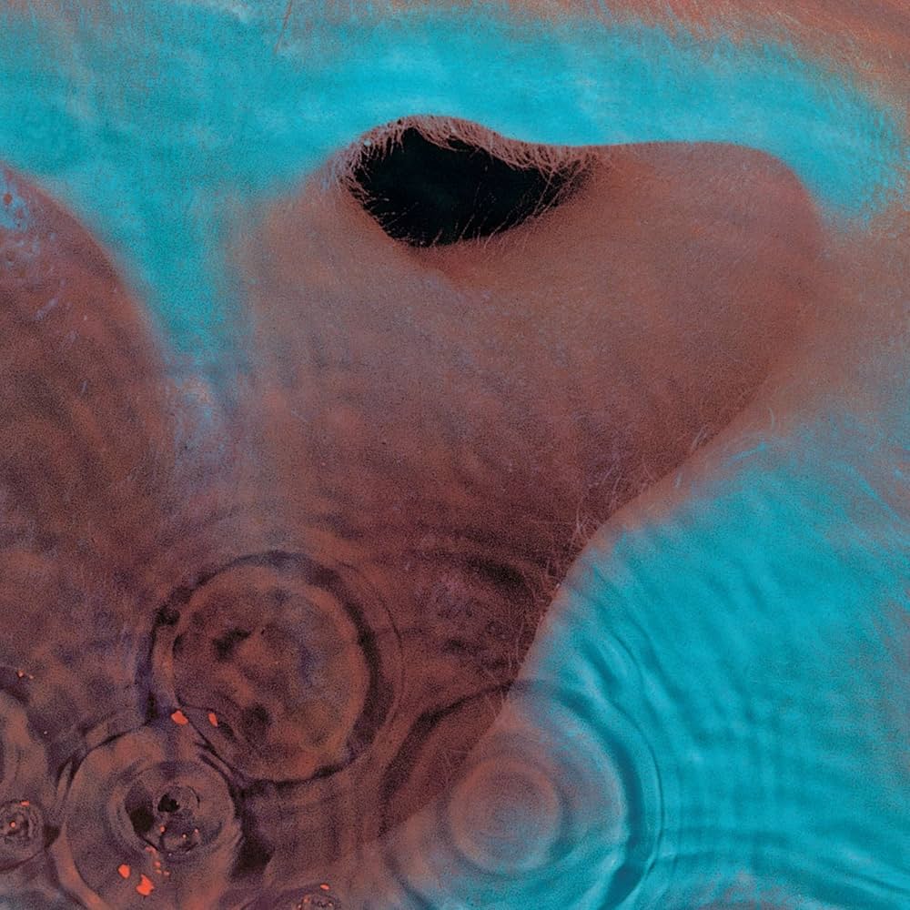 Pink Floyd - Meddle (180g/gatefold/2016 Version)