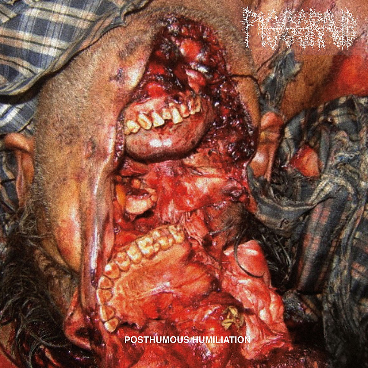 Pissgrave - Posthumous Humiliation