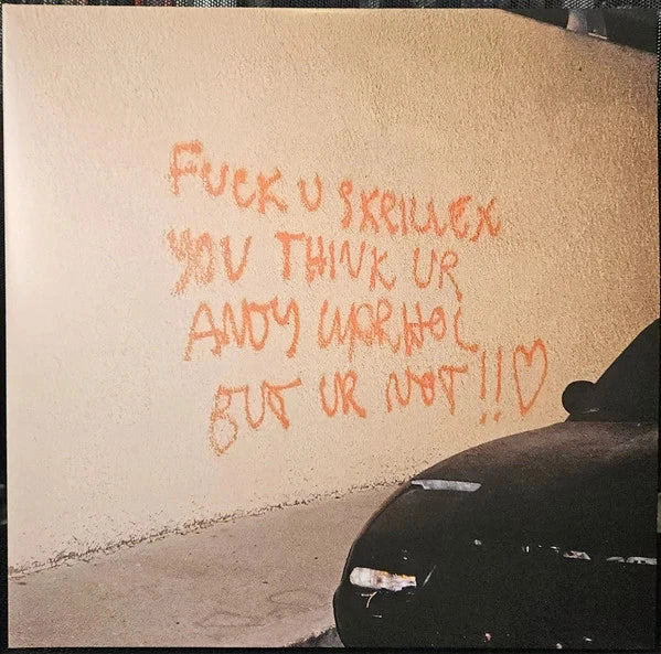 Skrillex - F*ck U Skrillex You Think Ur Andy Warhol But Ur Not!! <3 (2LP, mixed, picture disc)