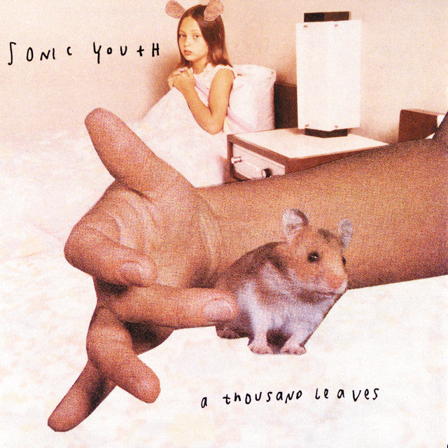 Sonic Youth - Thousand Leaves