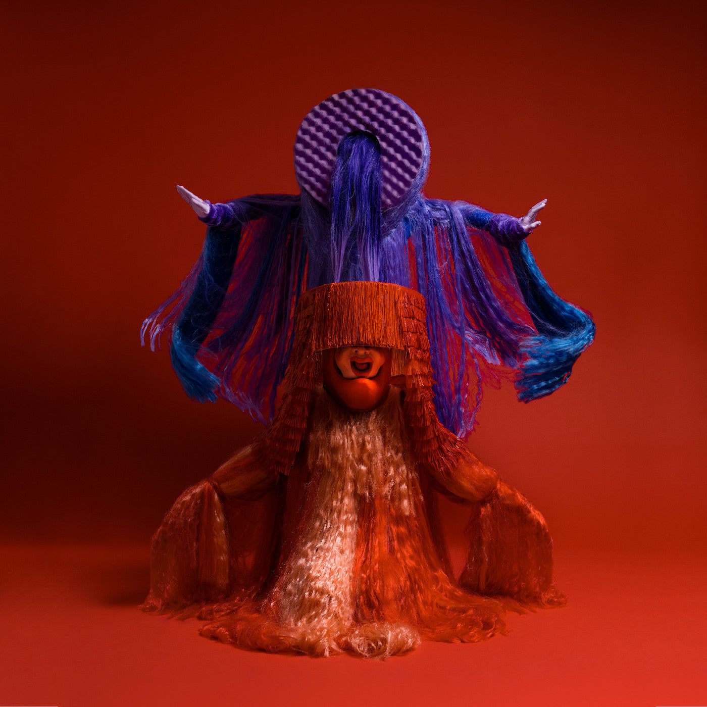 Sotomayor - Orígenes