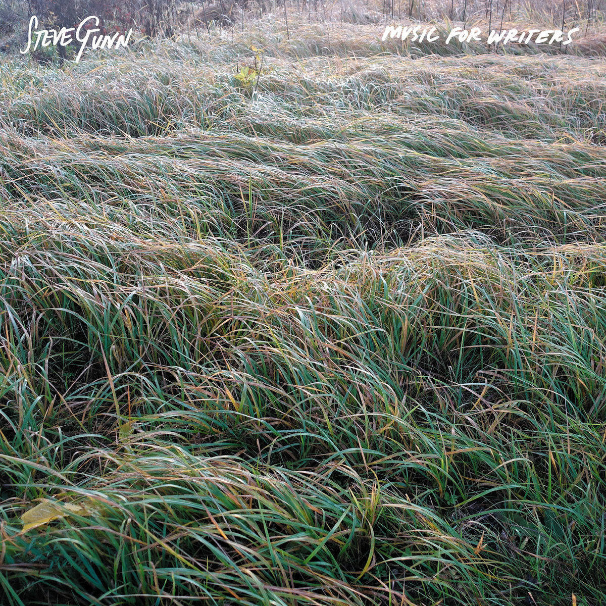 Steve Gunn - Music For Writers (OPAQUE ORANGE VINYL)