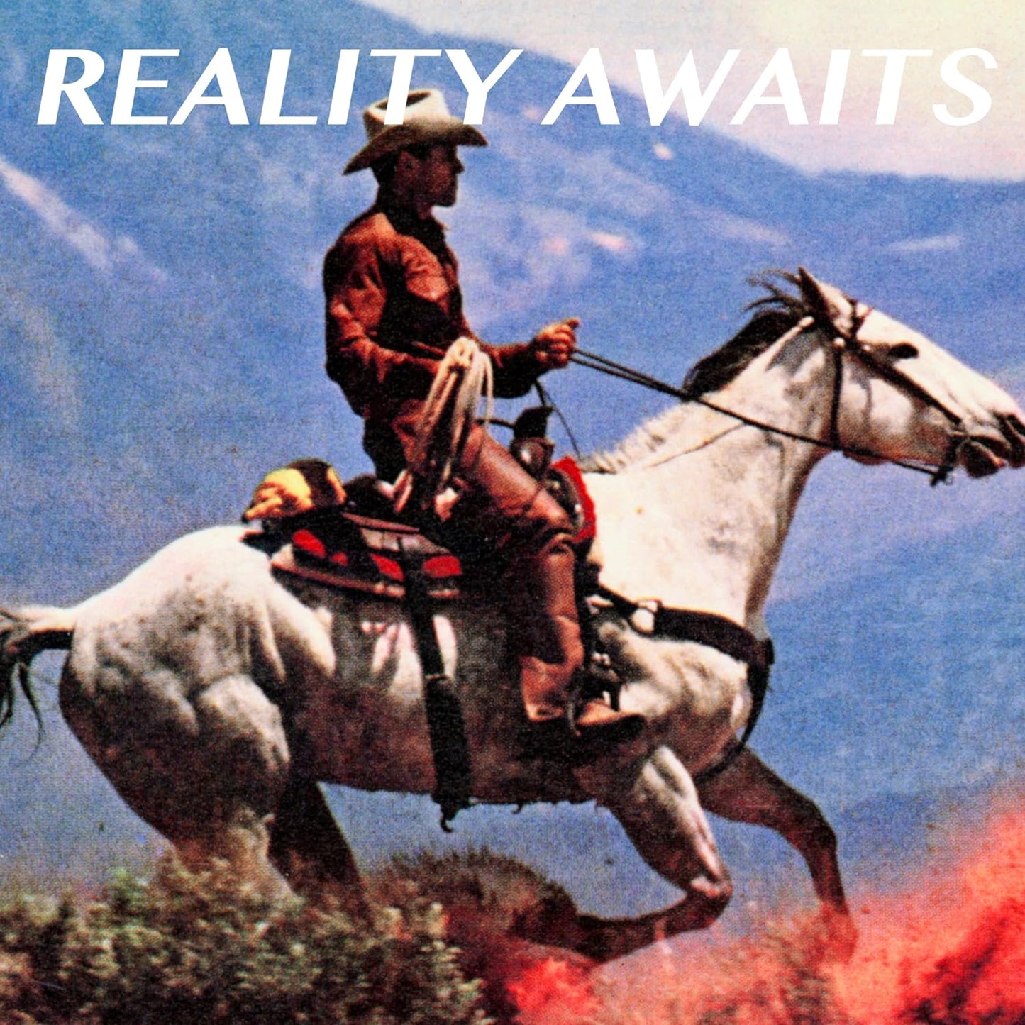 Reality Awaits (140g)