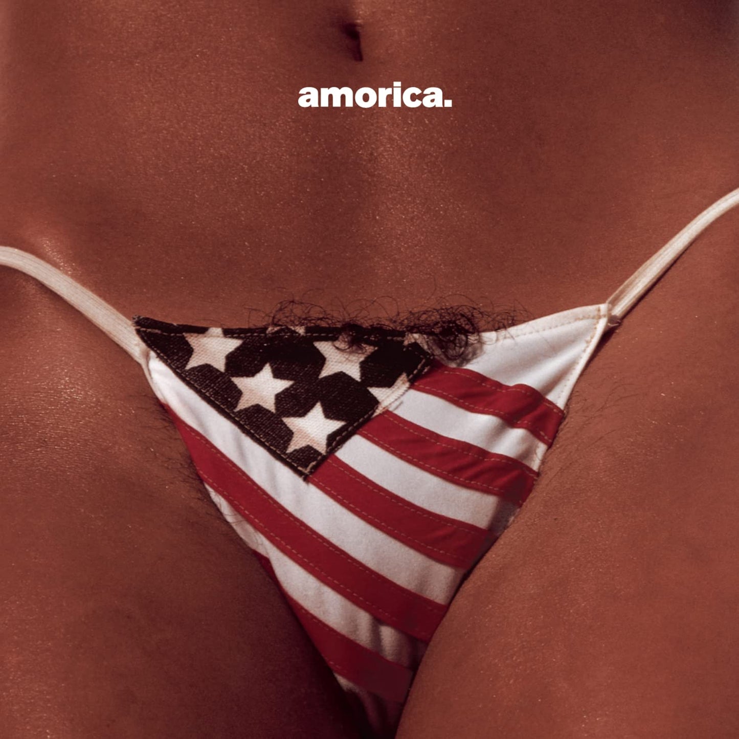 The Black Crowes - Amorica