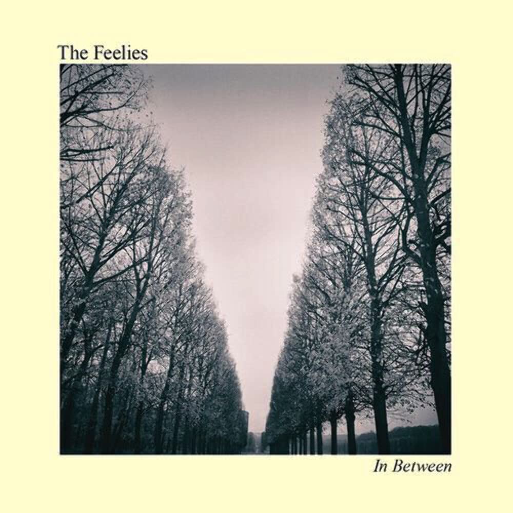 The Feelies - In Between