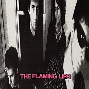 The Flaming Lips - In A Priest Driven Ambulance