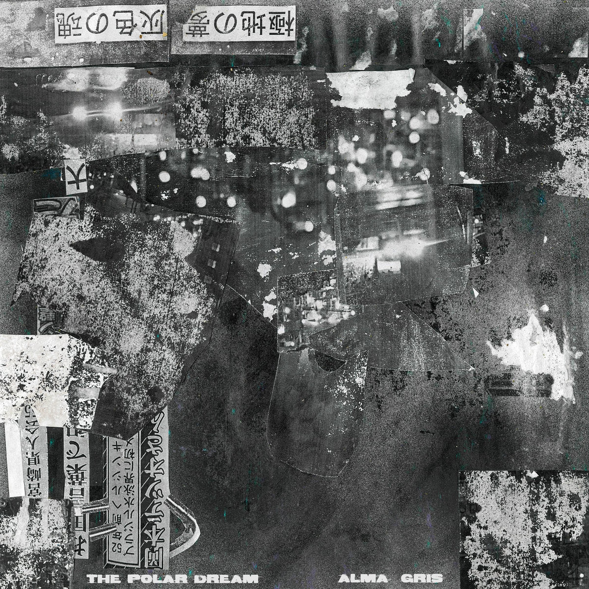 The Polar Dream - Alma Gris