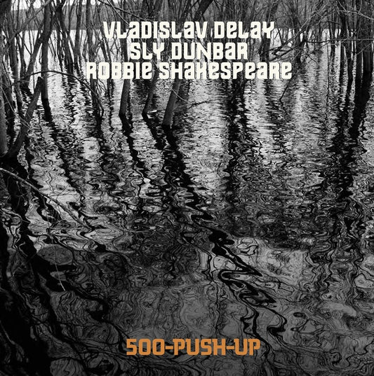 Vladislav Delay/sly Dunbar/robbie Shakespeare - 500-Push-Up